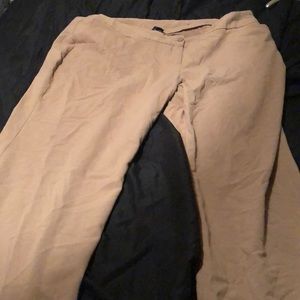 Size 22 Lane Bryanr Khaki dress pants